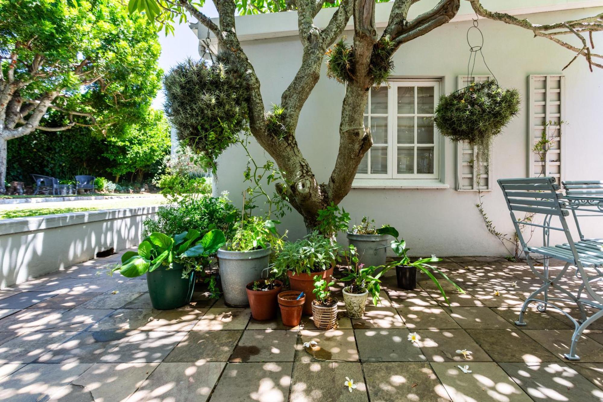 Peaceful Retreat Upper Claremont Villa Cape Town Exterior photo